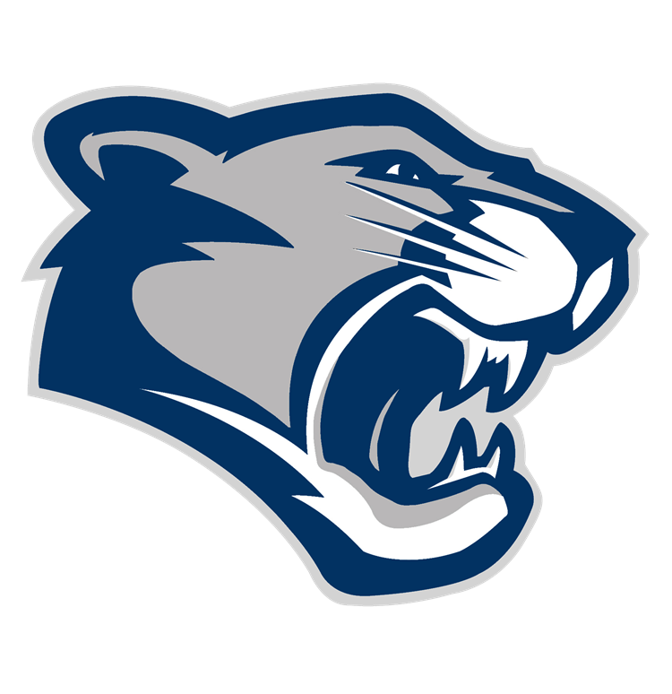  Panther