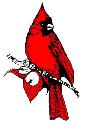 cardinal